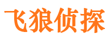 宣恩飞狼私家侦探公司